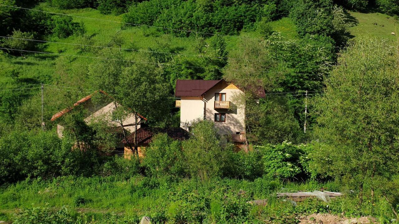 Pensiunea Petru Шугаг Екстер'єр фото